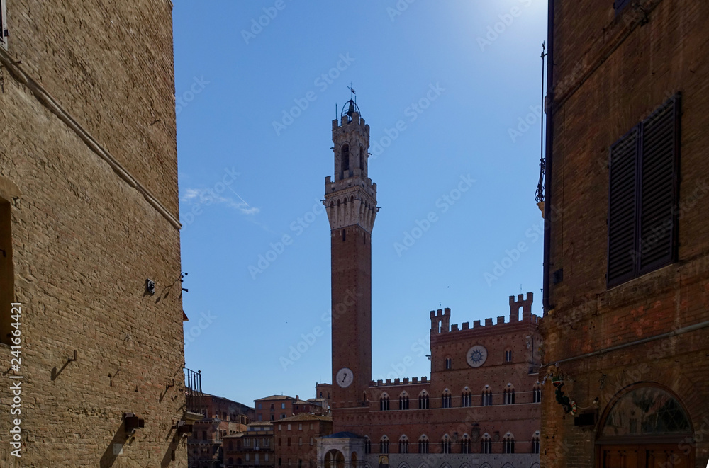 Fototapeta premium Campo square in Siena