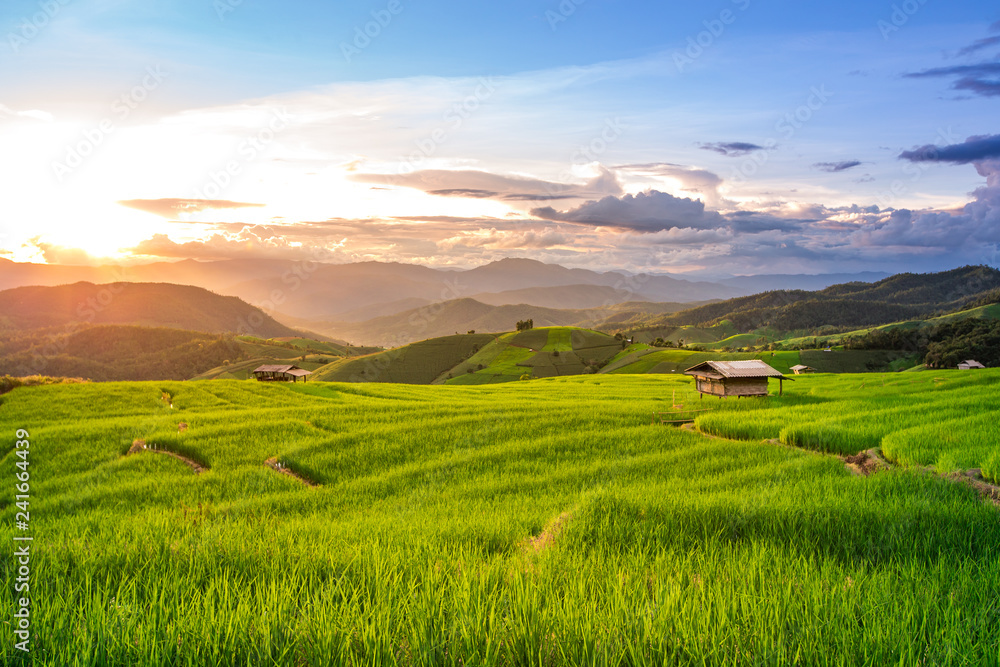 Beautiful sunset over the paddy fields in Pa Pong Pieng , Mae Chaem, Chiang Mai, Thailand.