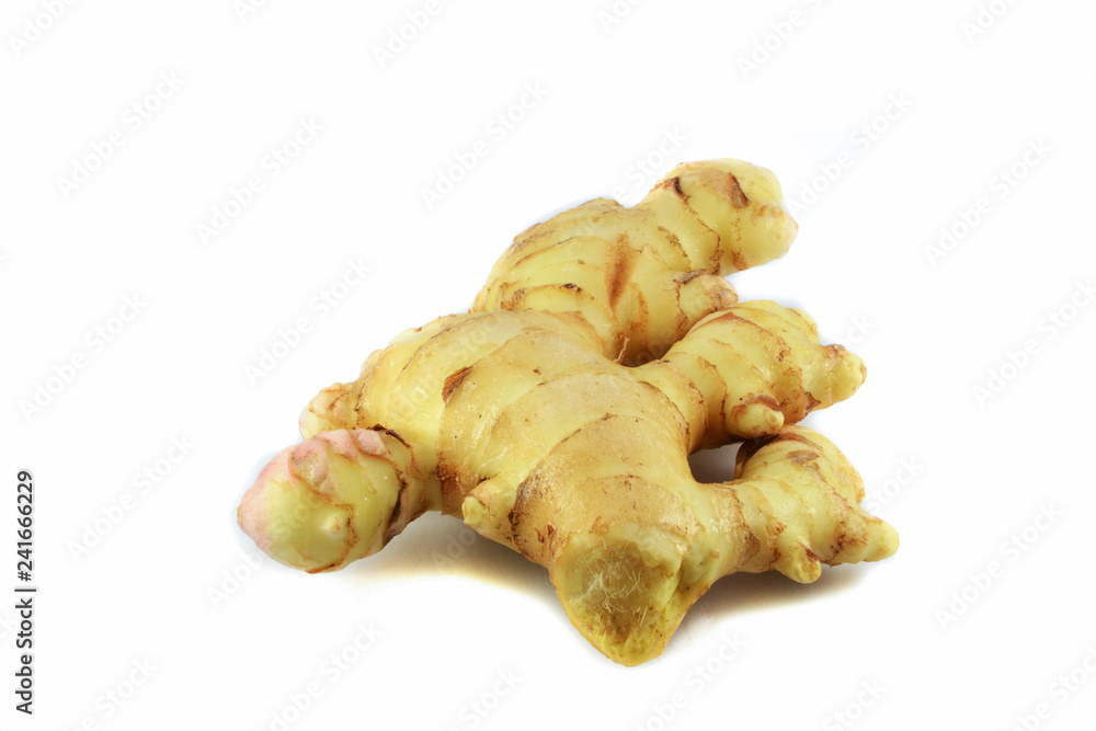 Ginger isolated / Fresh ginger root from the farm on white background Ginger isolated / Fresh ginger root from the farm on white background