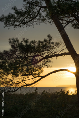 Sonnenaufgang an der Ostsee auf Insel Rügen