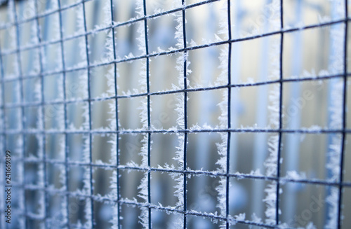 The grid on a frosty day is covered with frost in cold colors