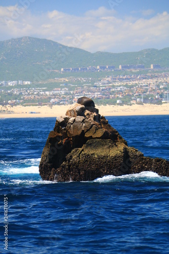 Los Cabos - Drinking Dragon