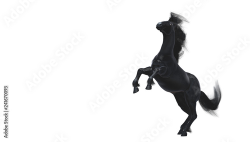 Black running horse on white background, 3d illustration