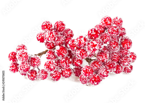 Christmas decoration red berries