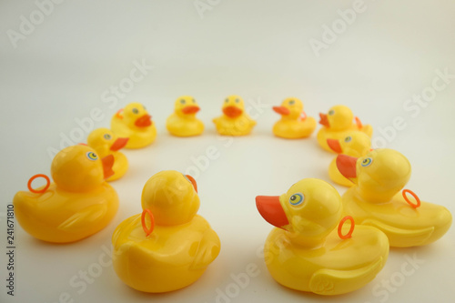 group of ducks.Meeting or discussion concept.