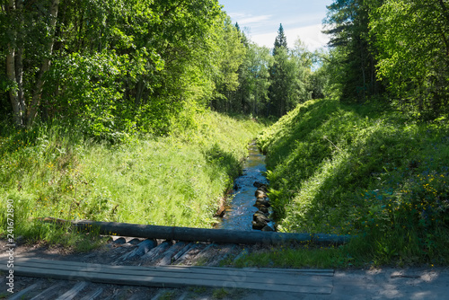 Canal with water in the forest