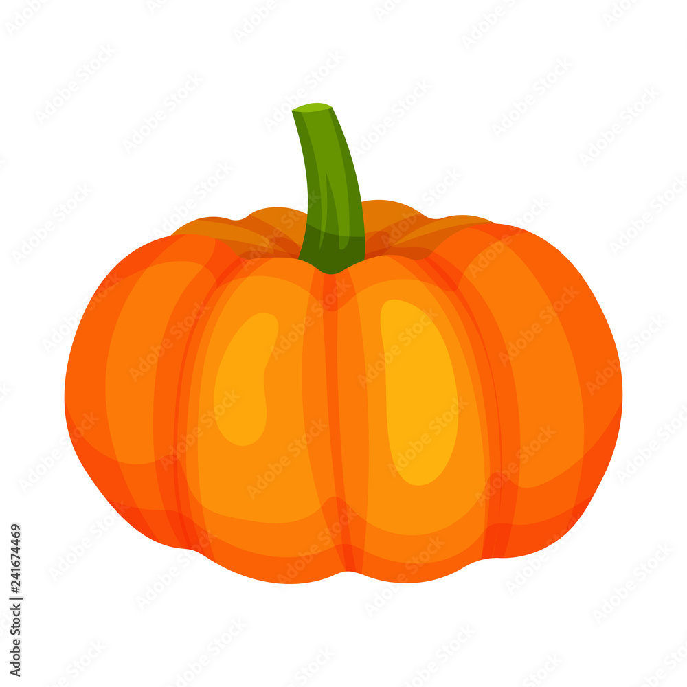Ripe bright orange pumpkin. Natural and healthy food. Organic farm product. Ingredient for vegetarian dish. Cartoon vector design. Ripe bright orange pumpkin. Natural and healthy food. Organic farm product. Ingredient for vegetarian dish. Cartoon vector design.