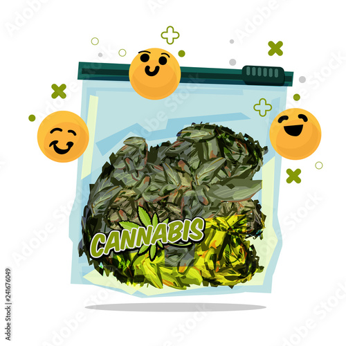 marijuana in zip lock plastic bag - vector illustration
