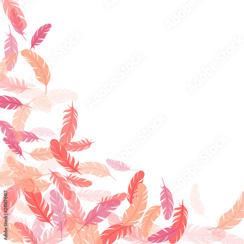 Detailed majestic feather on white design.