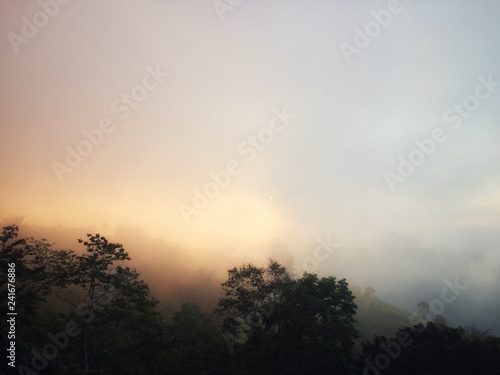 Sunset light fog in the forest mountain of view landscape nature