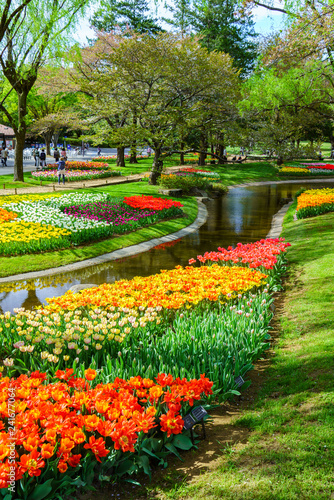 チューリップ咲く昭和記念公園