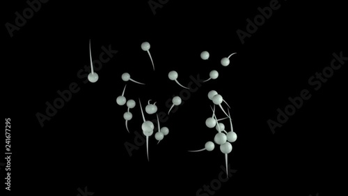 Sperm movement on a black background. Leadership. Fertilization. 3D animation photo