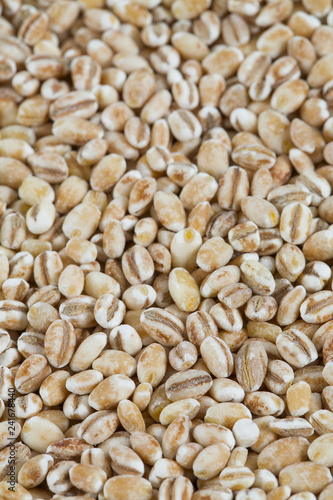 pearl barley isolated on white backrgound