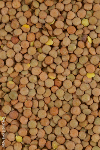 lentils isolated on white