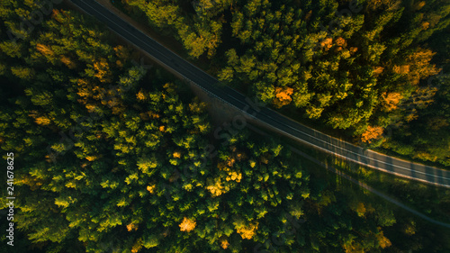 Mountain road and autumn trees above the forest. Yellow, red and green nature, high top view. Aerial drone shoot with wonderful texture.