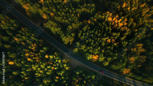 Mountain road and autumn trees above the forest. Yellow, red and green nature, high top view. Aerial drone shoot with wonderful texture.