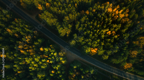 Mountain road and autumn trees above the forest. Yellow, red and green nature, high top view. Aerial drone shoot with wonderful texture.