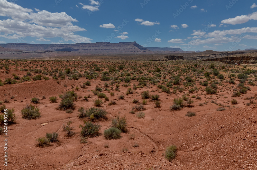 Φωτογραφία Gooseberry Mesa and canyons of Virgin river panoramic view from Zion Park Scenic