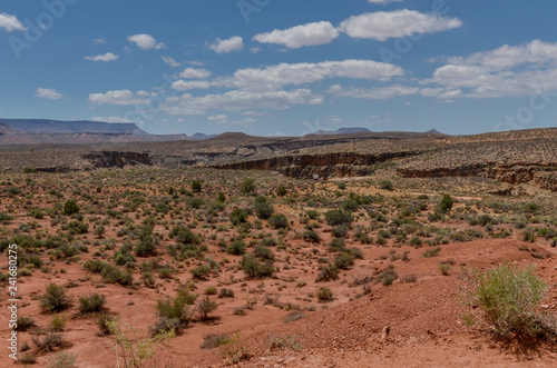 Gooseberry Mesa and canyons of Virgin river panoramic view from Zion Park Scenic Byway (UT-9) (La Verkin, Washington county, Utah)