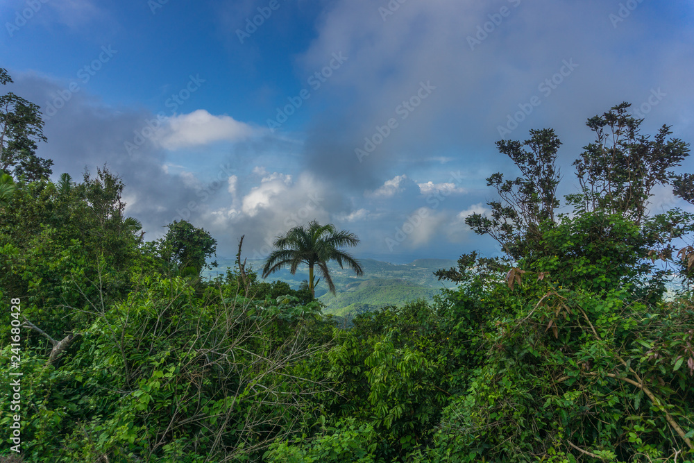 Karibische Landschaft