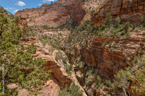 bridge over Pine Creek Gorge in Zion National Park (view from Canyon Overlook trail)