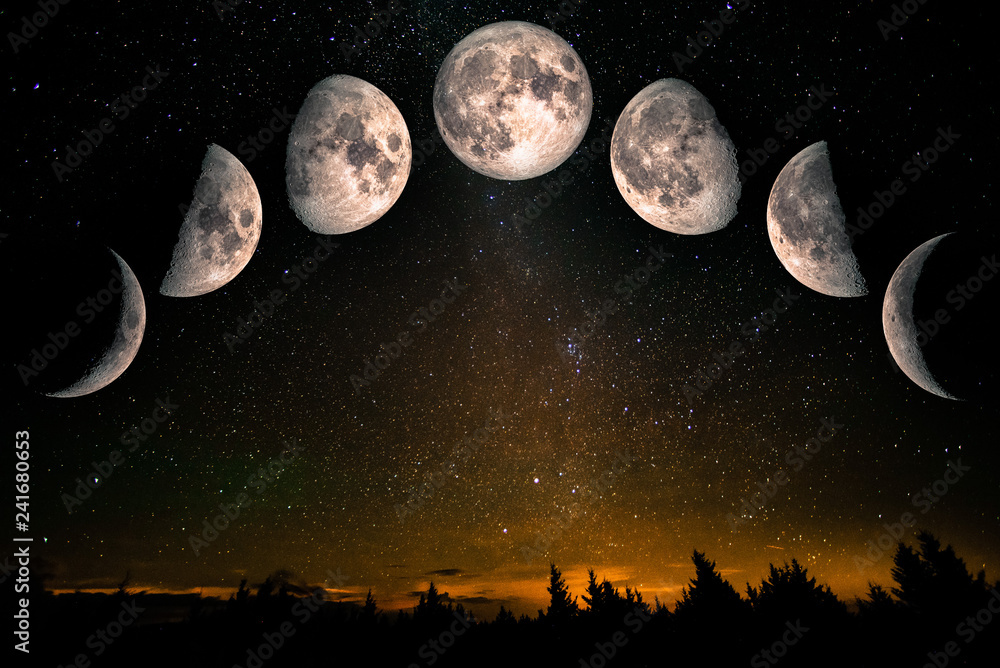 Fototapeta premium Fazy Księżyca: przybywający półksiężyc, pierwsza kwadra, przybywający księżyc w pełni, ubywający księżyc w pełni, trzeci kwartał, ubywający półksiężyc. Krajobraz lasu z gwiazdami. Elementy tego obrazu dostarczone przez NASA