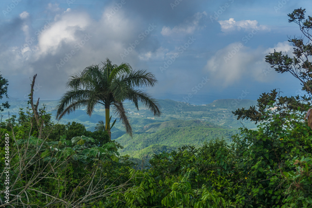 Karibische Landschaft Karibische Landschaft