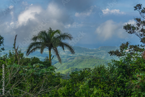 Karibische Landschaft