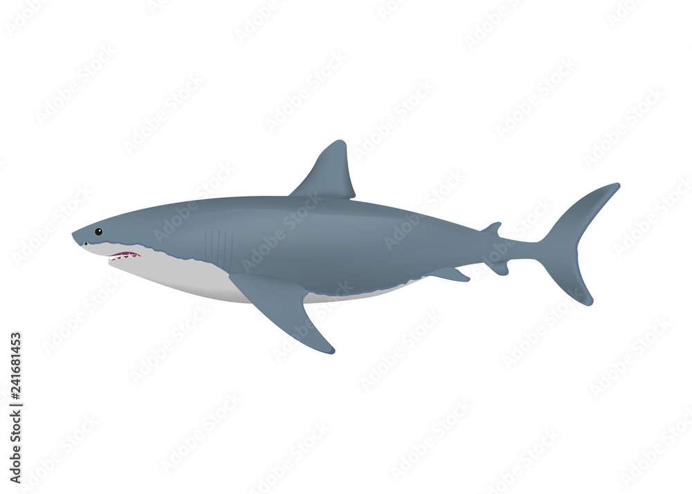Realistic shark isolated on white background. Vector illustration. Realistic shark isolated on white background. Vector illustration.