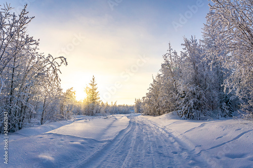Beautiful winter landscape. Fabulous snow-covered forest. © Nikolay Beletskiy