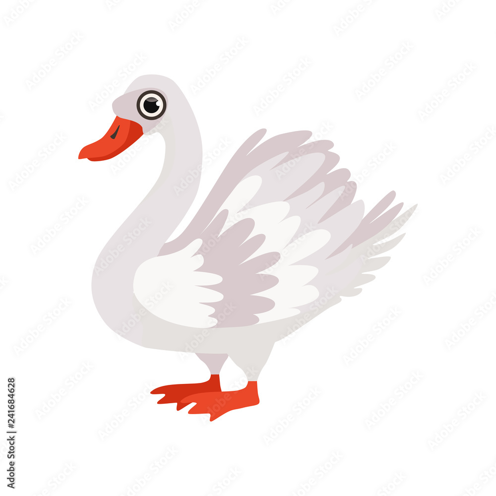Fototapeta premium Beautiful swan bird vector Illustration on a white background