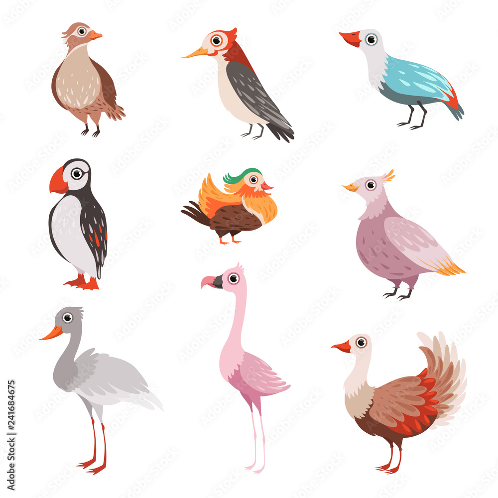 Obraz premium Collection of beautiful birds, flamingo, puffin, waxwing, cardinal, bright, crane vector Illustration