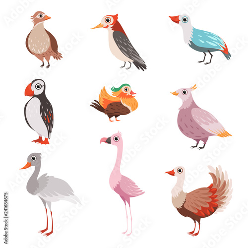 Collection of beautiful birds  flamingo  puffin  waxwing  cardinal  bright  crane vector Illustration