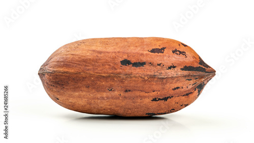 Single whole pecan (Carya illinoinensis) nut isolated on white background. photo