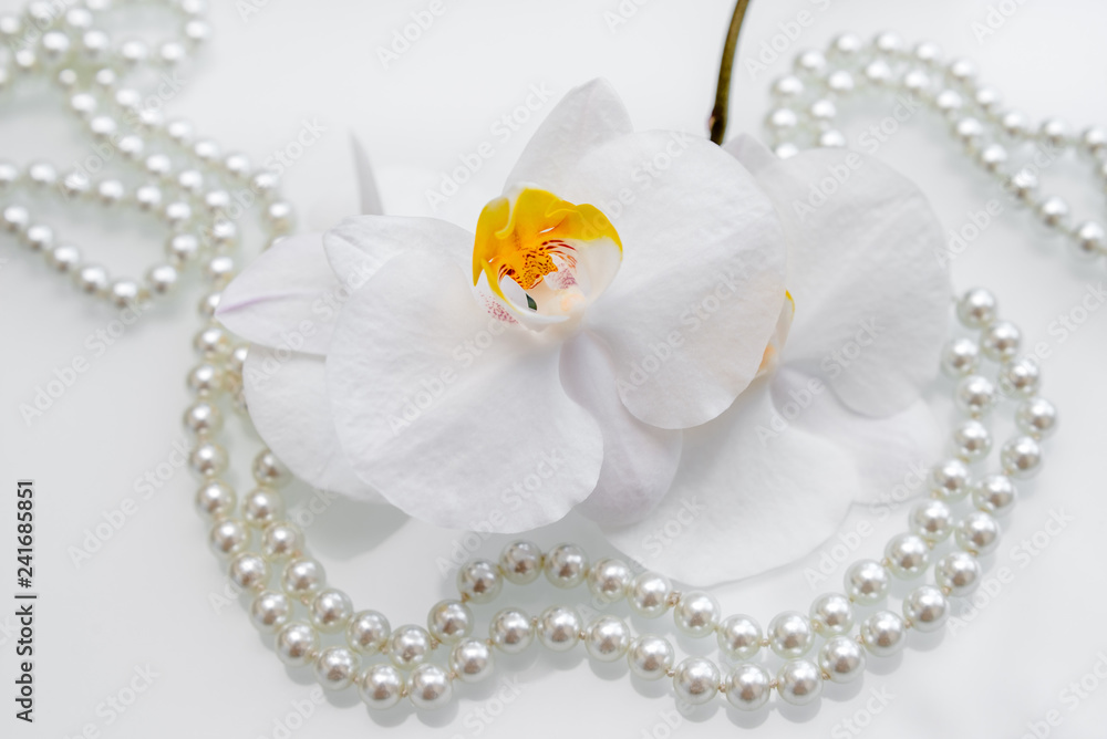 pearl and white orchid on a white glas pearl and white orchid on a white glas