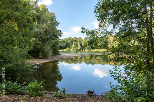 lake in germany with trees and reflection in water photo