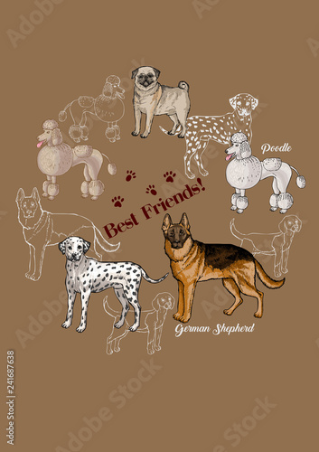  Poster Dogs sketches Background. Dogs of different breeds
