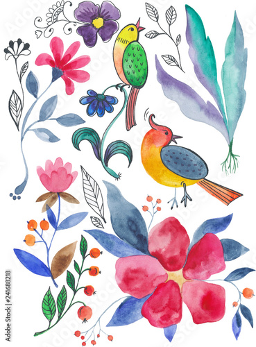 Botanical collection, watercolor set of flowers, plants and birds