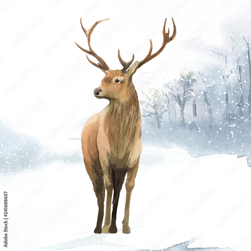 Obraz premium Samiec jelenia namalowany akwarela wektor