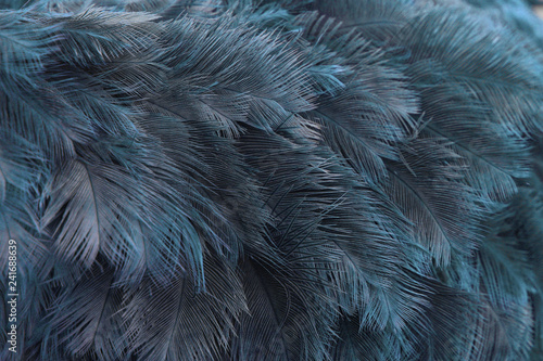 abstract fractal neon and blue feathers background