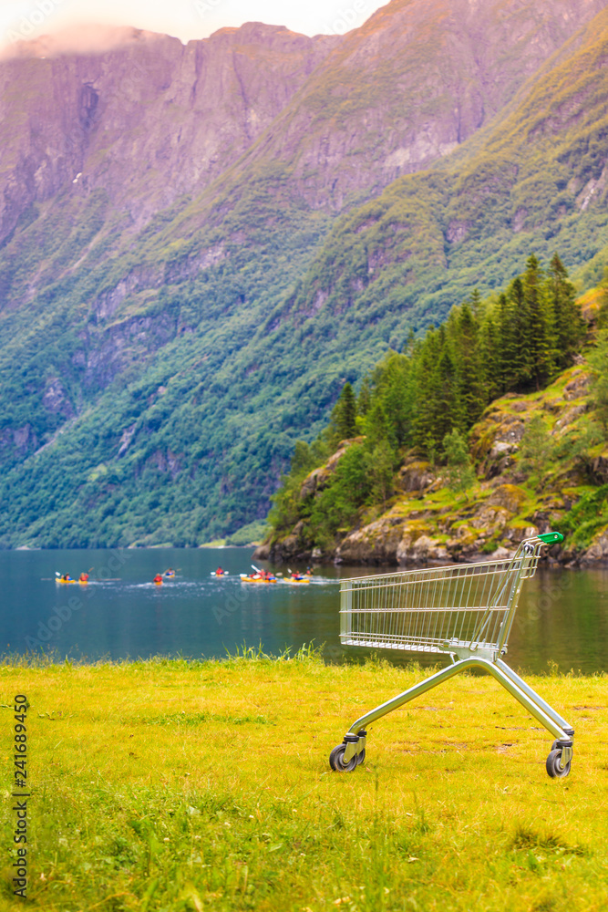 Shopping cart trolley in nature Shopping cart trolley in nature
