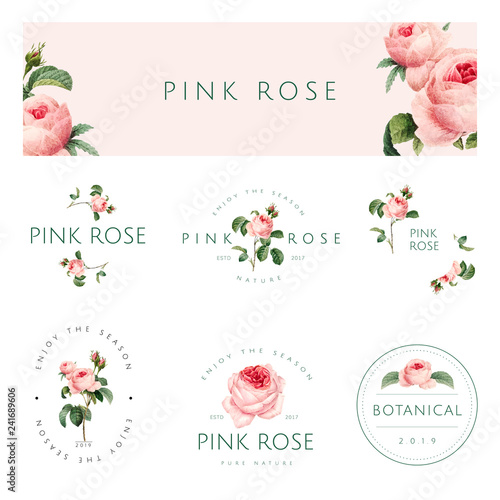 Hand drawn pink rose emblem vector set