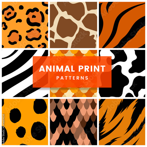 Set of seamless animal print pattern vectors