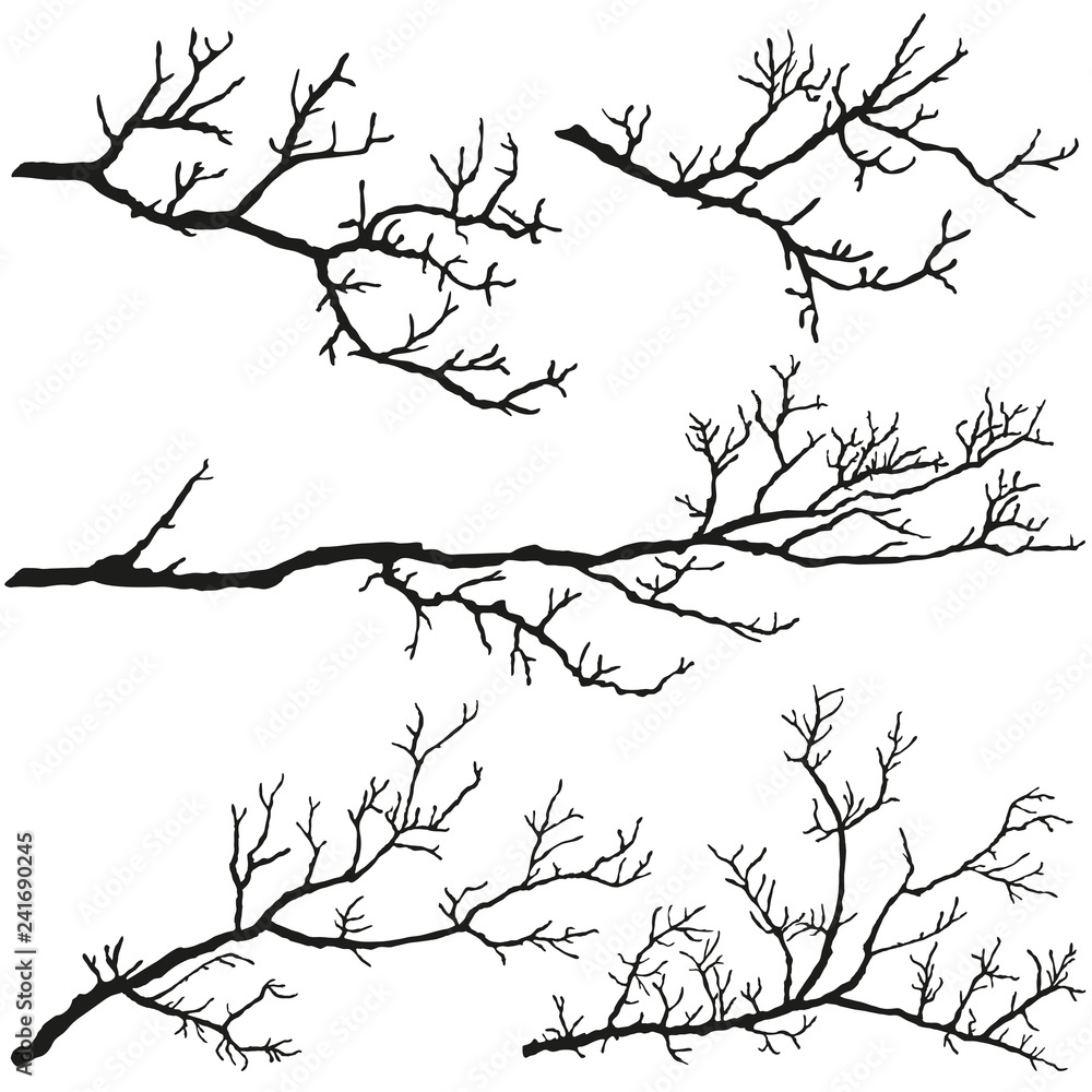 Tree branches without leaves. Black silhouettes on a white background.