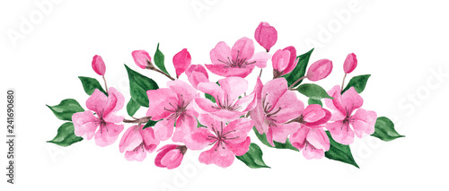 Watercolor illustration with spring cherry flowers