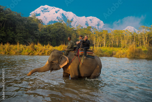 Photography elephants in Chitwan