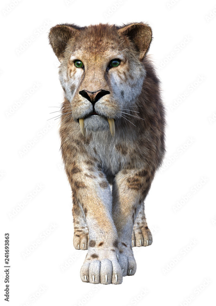 Obraz premium 3D Rendering Sabertooth Tiger on White