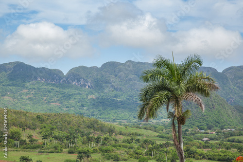 Karibische Landschaft