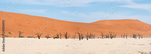 Dead trees in naukluft park in Namibia