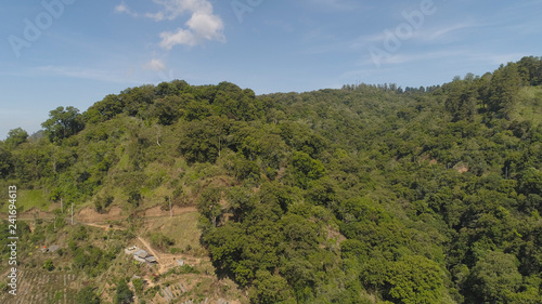 jungle landscape, rainforest in mountainous area Indonesia. tropical forest with green, lush vegetation.